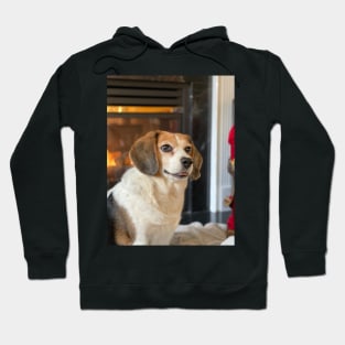 The Holiday Beagle Hoodie